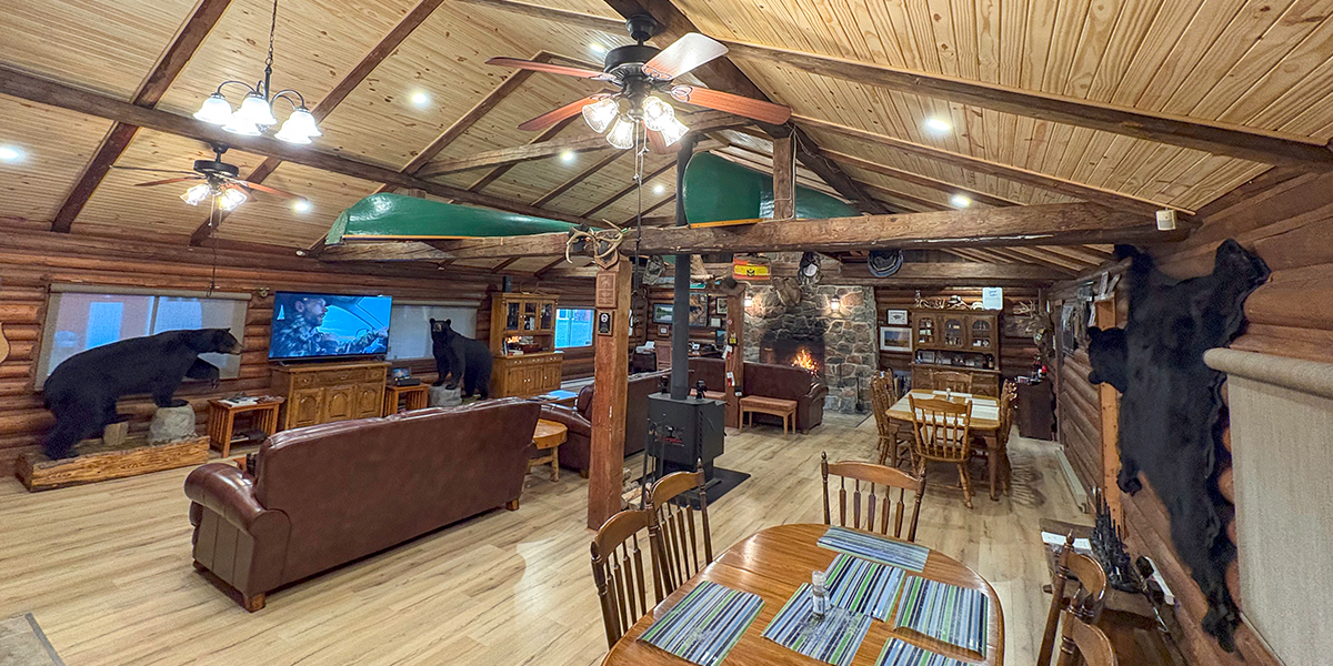 bear hunting in canada