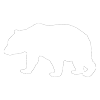 bear hunting in canada