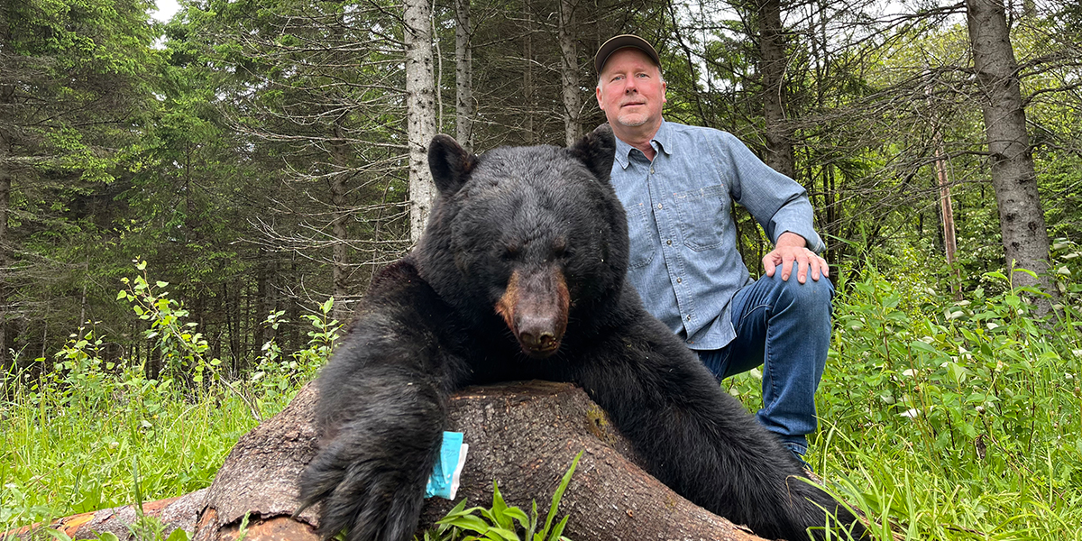 canada bear hunting